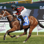 Everest runner by runner preview