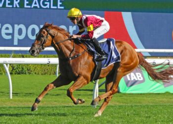 O’Shea, Charlton eyeing off their biggest day