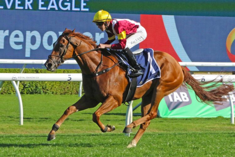 Linebacker will chase Golden Eagle success this Saturday