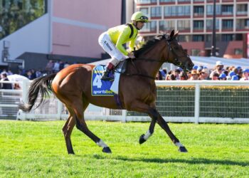 Get to know the Internationals