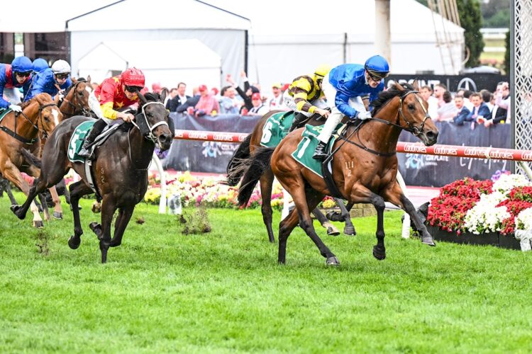Observer ridden by Mark Zahra wins the Drummond Golf Vase at Moonee Valley Racecourse on October 25, 2025 in Moonee Ponds, Australia. (Photo by Pat Scala/Racing Photos)