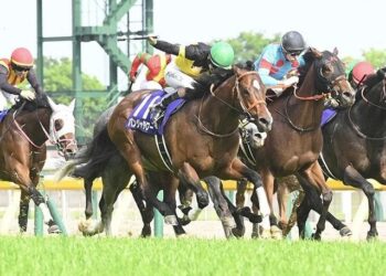 Golden Eagle: Get to know the internationals