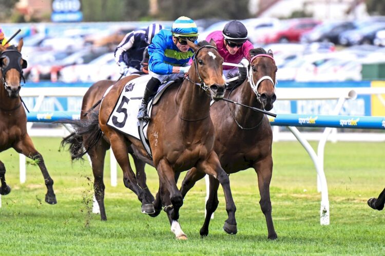 Point Barrow ridden by Daniel Stackhouse wins the Thoroughbred Club of Australia Plate at Caulfield Racecourse on October 11, 2025 in Caulfield, Australia. (Photo by Pat Scala/Racing Photos)