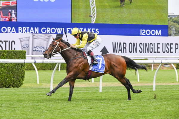 Skyglider is a horse Dean is keen to follow