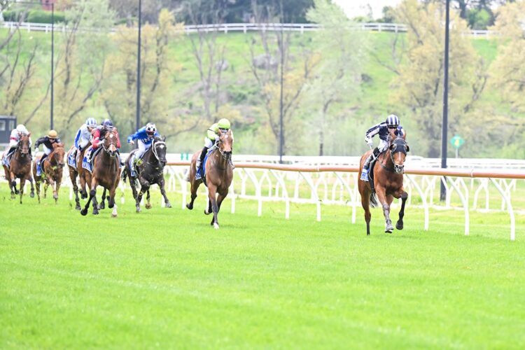 Coral Impact (NZ) ridden by Lachlan King wins the Kyneton Horse of the year Caboteur Maiden Plate at Kyneton Racecourse on October 21, 2025 in Kyneton, Australia. (Photo by Pat Scala/Racing Photos)