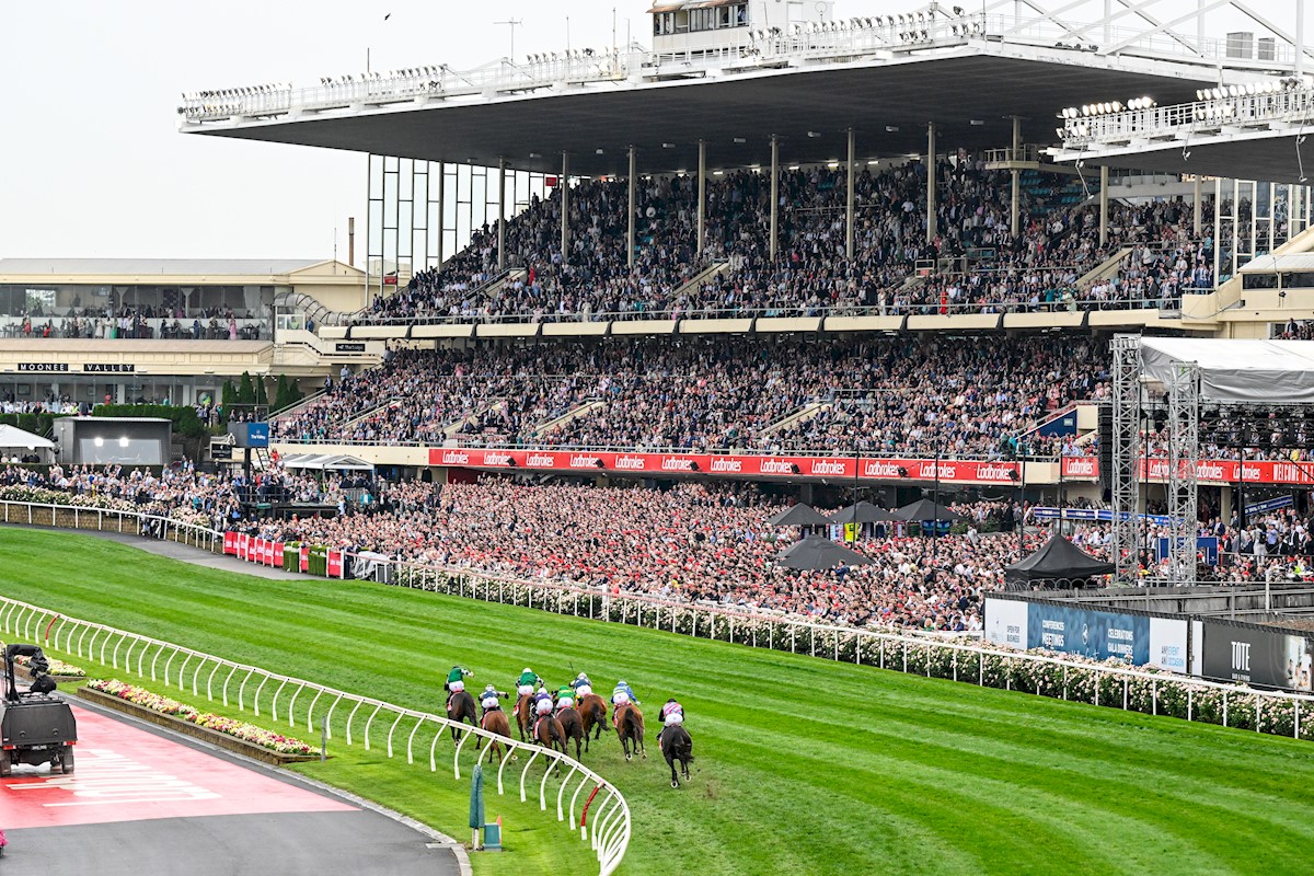 Horses race down the home straight during the running of the Ladbrokes Cox Plate at Moonee Valley Racecourse on October 25, 2025 in Moonee Ponds, Australia. (Photo by Adam Trafford/Racing Photos)