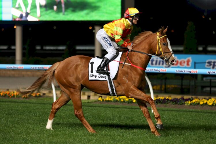 Miracles of Life ridden by Lauren Stojakovic prior to the Gallagher Bassett/ TBV Champagne Stakes at Moonee Valley Racecourse on September 27, 2013 in Melbourne, Australia. (Racing Photos)