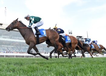 Roots: money talks, history walks