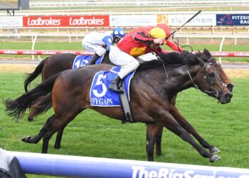 Ka Ying Rising to Romantic Encounter: Hayes back kiwi formula