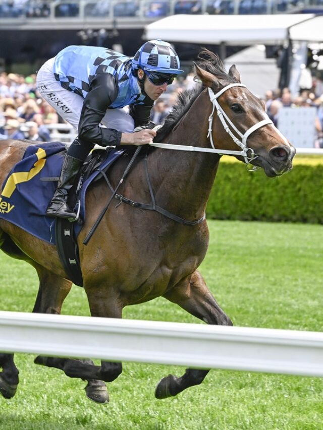 Oaks Barriers