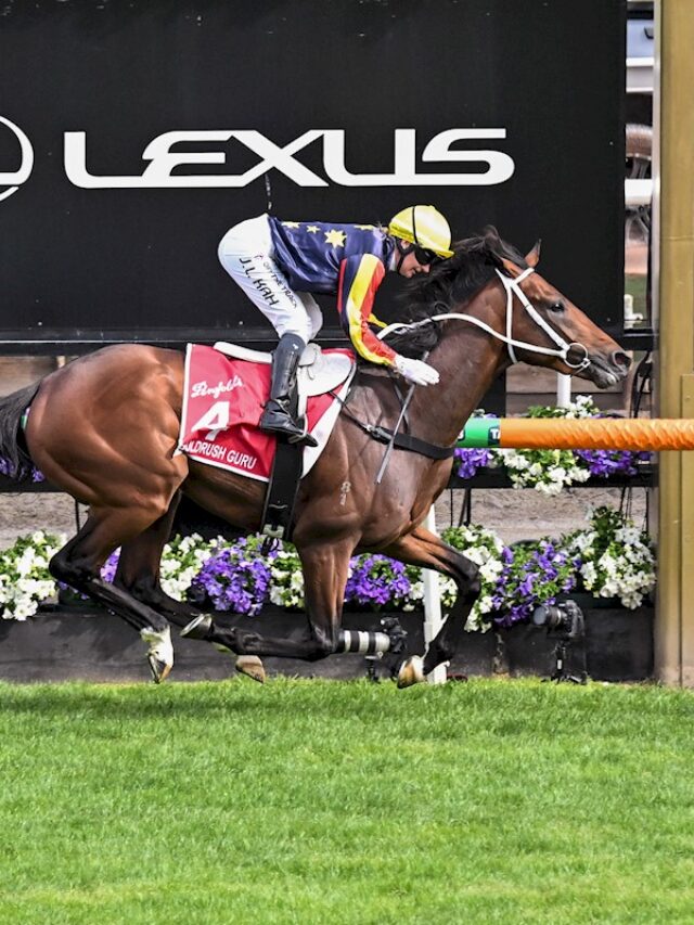 Group 1 Derbies?