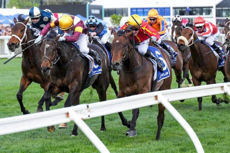 Transatlantic ridden by Mark Zahra wins the Hyland Race Colours Toorak Handicap at Caulfield Racecourse on October 11, 2025 in Caulfield, Australia. (Photo by George Sal/Racing Photos)