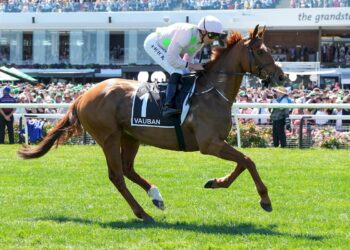 Boom or bust: Vauban’s redemption starts now