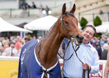 Too Good: One trainer, one horse, one big win