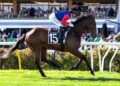 ‘He was out of control’: Melham exhausted after ride