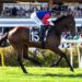 ‘He was out of control’: Melham exhausted after ride