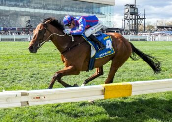 Injury cloud for star ahead of Cox Plate