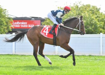 Nugent hoping to deliver Cup to Carlton royalty