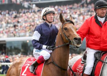 Ciao: Frankie says goodbye, again