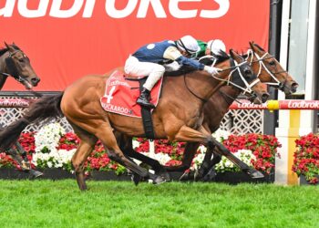 Via Sistina (IRE) ridden by James McDonald wins the Ladbrokes Cox Plate at Moonee Valley Racecourse on October 25, 2025 in Moonee Ponds, Australia. (Photo by Reg Ryan/Racing Photos)