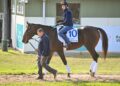Star-spangled stayer: the All-American poster boy chasing Cup glory