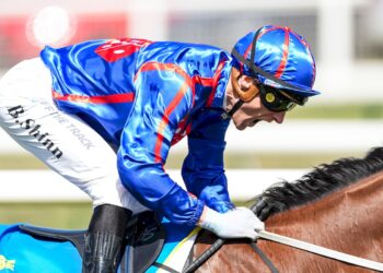 Group 1 glory and a punting windfall