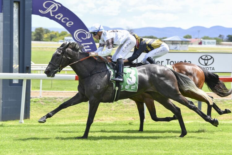 Our Gold Hope [Bradley Photos]