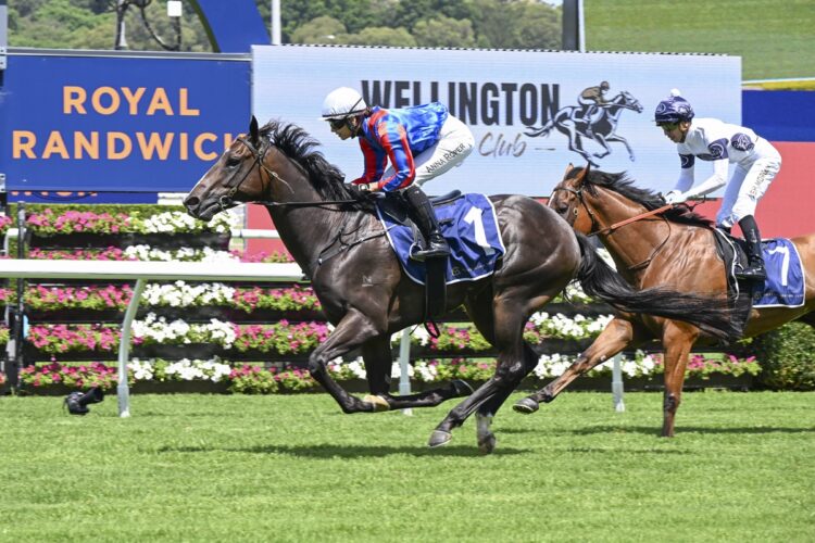 Yorkshire at Royal Randwick on 15 February [Bradley Photos]