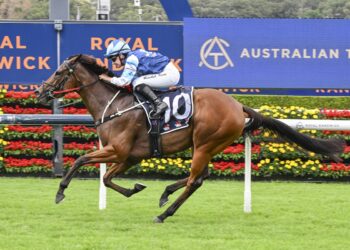 ‘No one is looking at The Warra and saying that is the race I want to win this spring, except me’