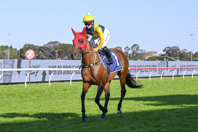 Stefi Magnetica [Bradley Photos]