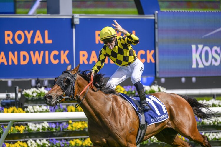 Clear Thinking [Bradley Photos]