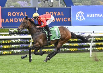 Stradbroke to stardom: Gollan’s Transatlantic leads Five Diamonds charge