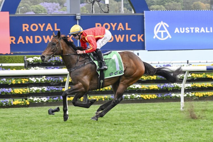 Transatlantic [Bradley Photos]