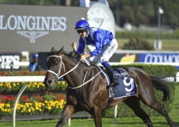 Winx wasn't a standout initially