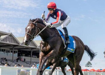 Holder’s renaissance heads to Cranbourne