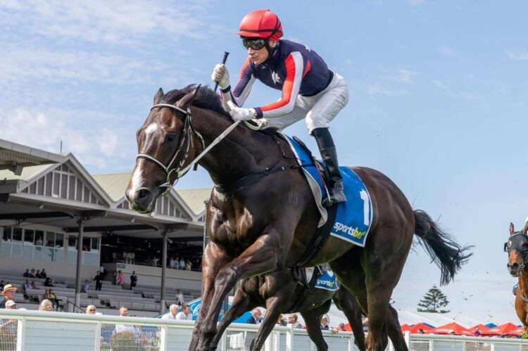 Air Assault is out to go one better than last year's Cranbourne Cup