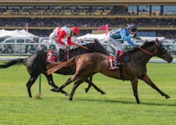 Asfoora named Europe’s best