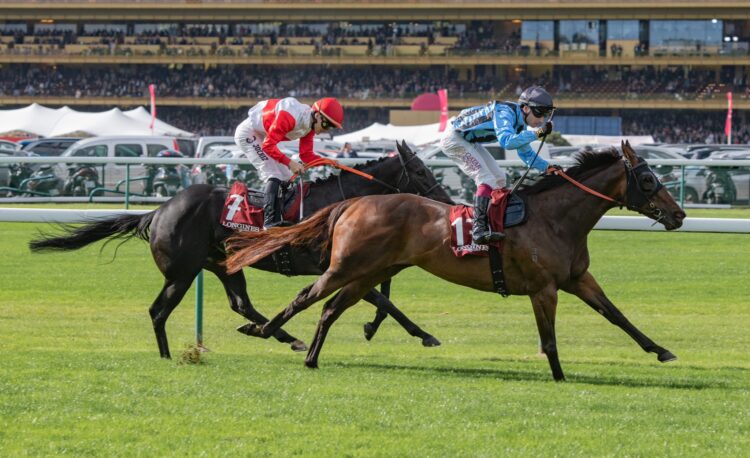 Asfoora has been crowned Europe's Best Sprinter.