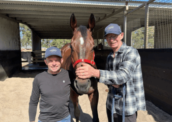 The bond behind Jokers Grin