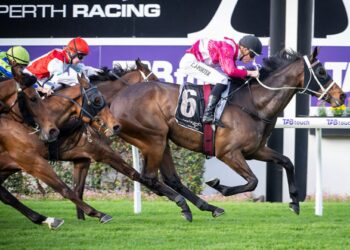 In The Lab: 2025 Railway Stakes