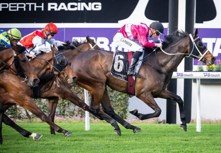 The Racelab team think Diamond Scene has a great hope in Saturday's Railway Stakes