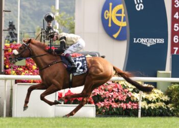 In The Lab: 2025 Hong Kong Vase