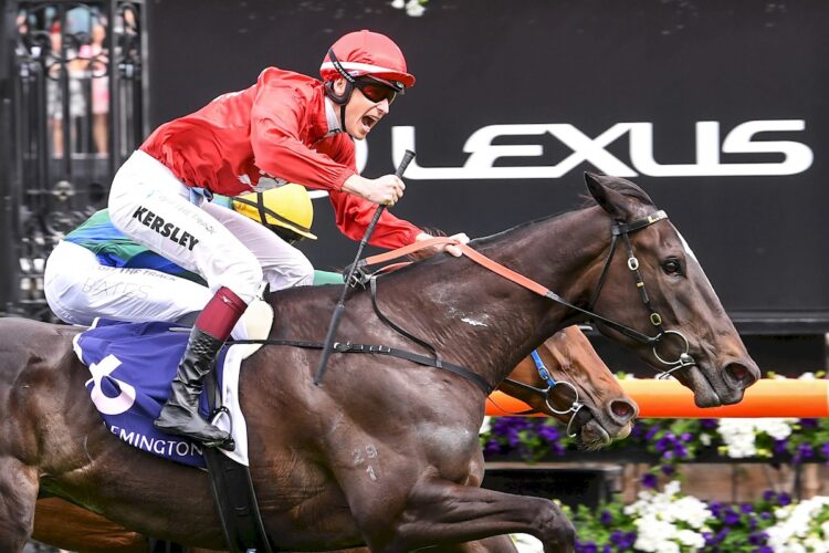 Guerite ridden by Fred Kersley wins the Melbourne Cup Carnival Country Final (QC) at Flemington Racecourse on November 06, 2025 in Flemington, Australia. (Photo by Brett Holburt/Racing Photos)