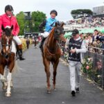 Another safe Melbourne Cup