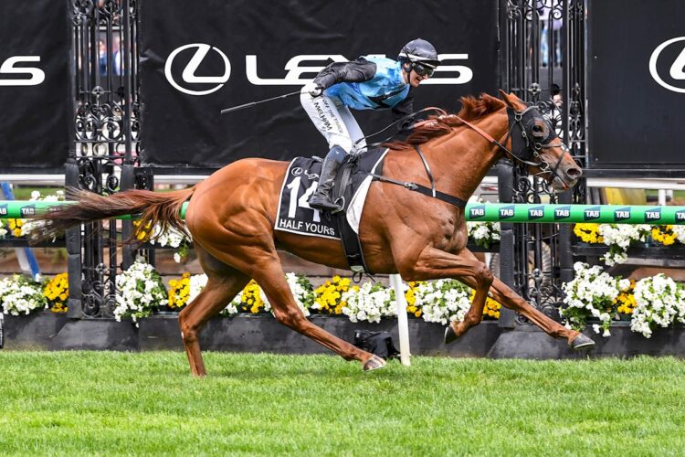 Half Yours ridden by Jamie Melham wins the Lexus Melbourne Cup at Flemington Racecourse on November 04, 2025 in Flemington, Australia. (Photo by Brett Holburt/Racing Photos)