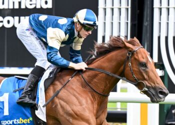 Jimmysstar shines bright in the Orr