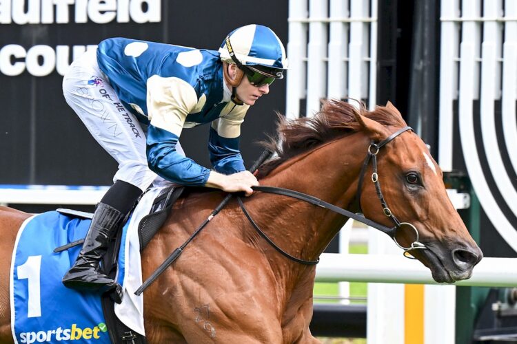 Jimmysstar (NZ) ridden by Ethan Brown wins the Sportsbet C.F. Orr Stakes at Caulfield Racecourse on November 15, 2025 in Caulfield, Australia. (Photo by Pat Scala/Racing Photos)