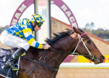 In The Lab: 2025 Hong Kong Vase