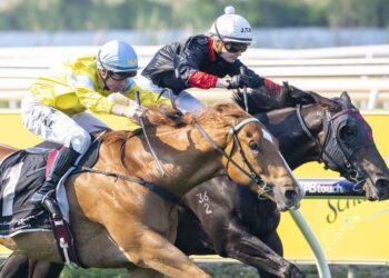 In The Lab: 2025 W.A. Guineas