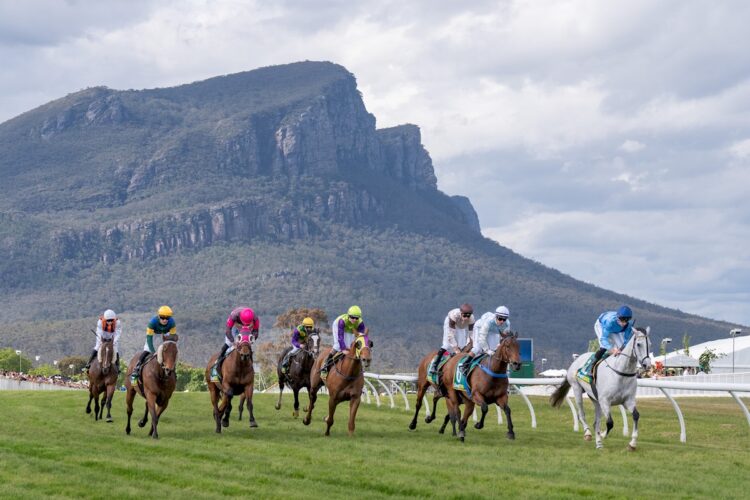 La Zebra takes out the Dunkeld Cup (Racing Photos)